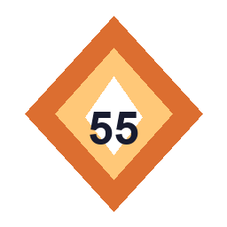 AR55
